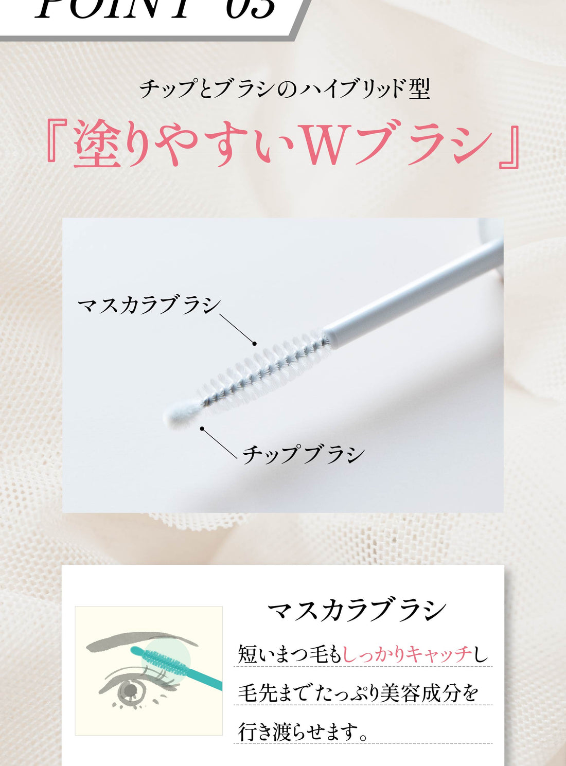 POINT03 塗りやすいWブラシ チップとブラシのハイブリッド型